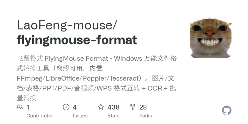 flyingmouse-format screenshot
